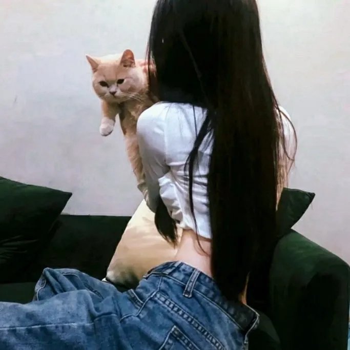 雾水总统